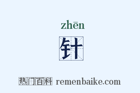 针是什么意思的图片